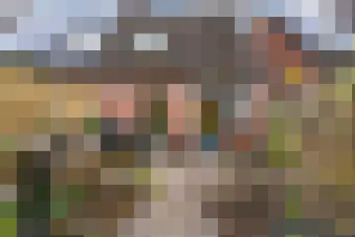 Paardebloem 66 Zwaag thumbnail 22