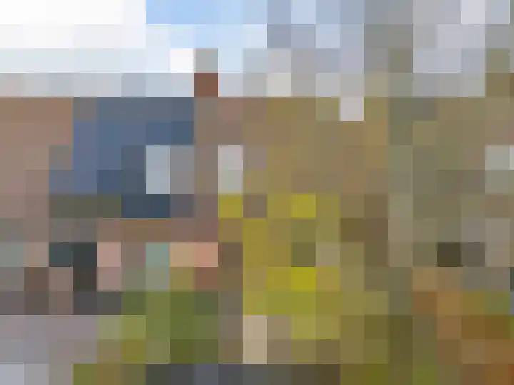 Paardebloem 66 Zwaag thumbnail 24