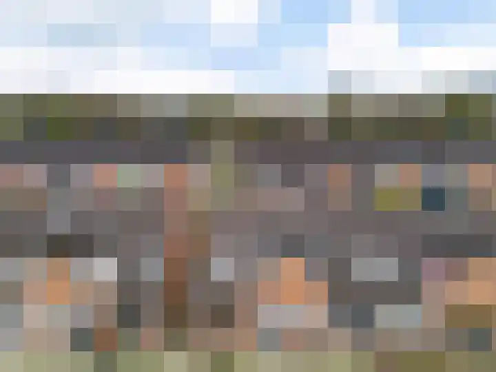 Paardebloem 66 Zwaag thumbnail 25