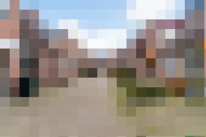 Paardebloem 66 Zwaag thumbnail 26