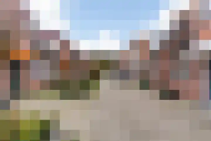 Paardebloem 66 Zwaag thumbnail 27