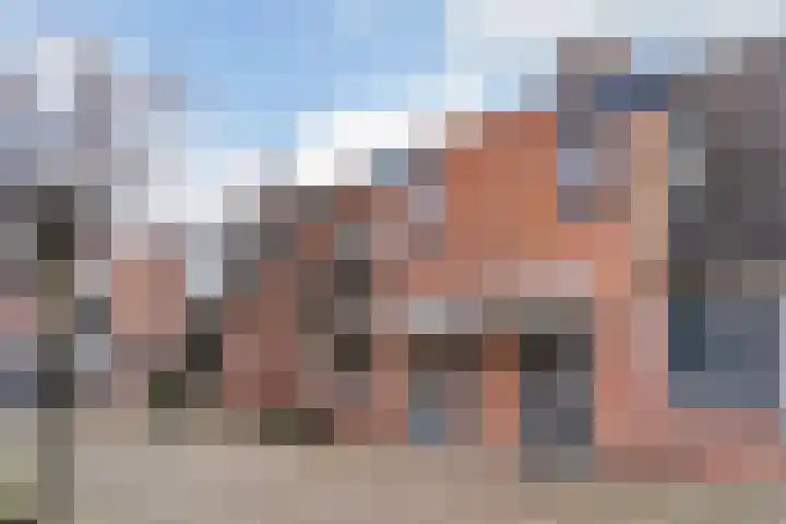 Paardebloem 66 Zwaag thumbnail 28