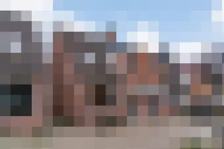 Paardebloem 66 Zwaag thumbnail 29