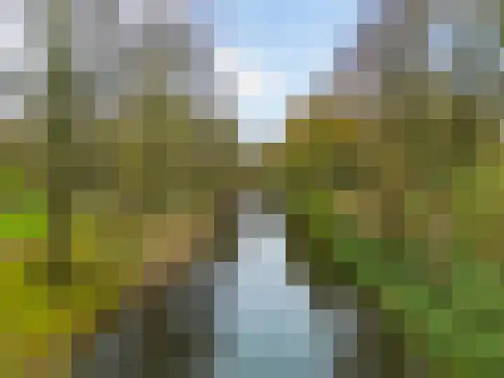 Paardebloem 66 Zwaag thumbnail 32