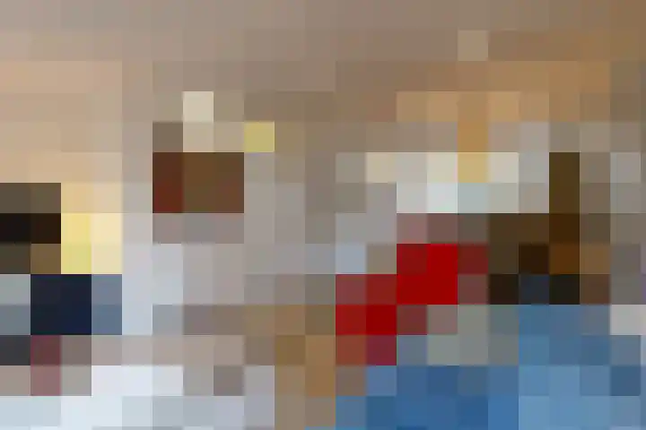 Paardebloem 66 Zwaag thumbnail 4
