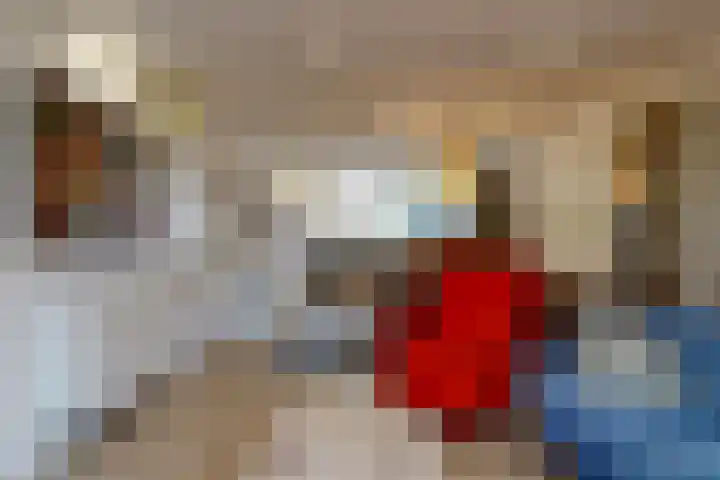 Paardebloem 66 Zwaag thumbnail 5
