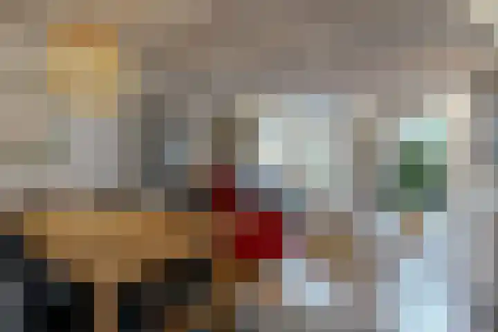 Paardebloem 66 Zwaag thumbnail 6