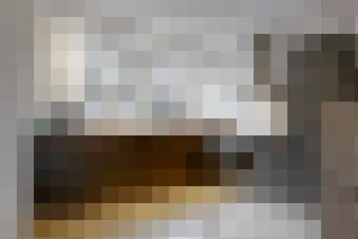 Paardebloem 66 Zwaag thumbnail 8
