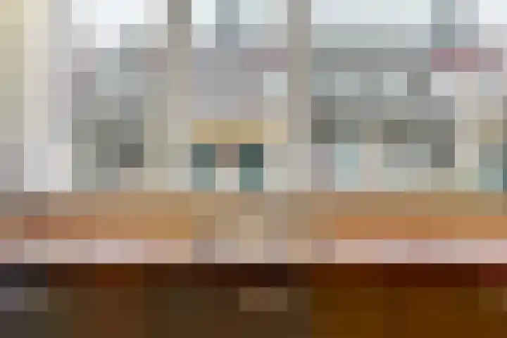 Paardebloem 66 Zwaag thumbnail 9