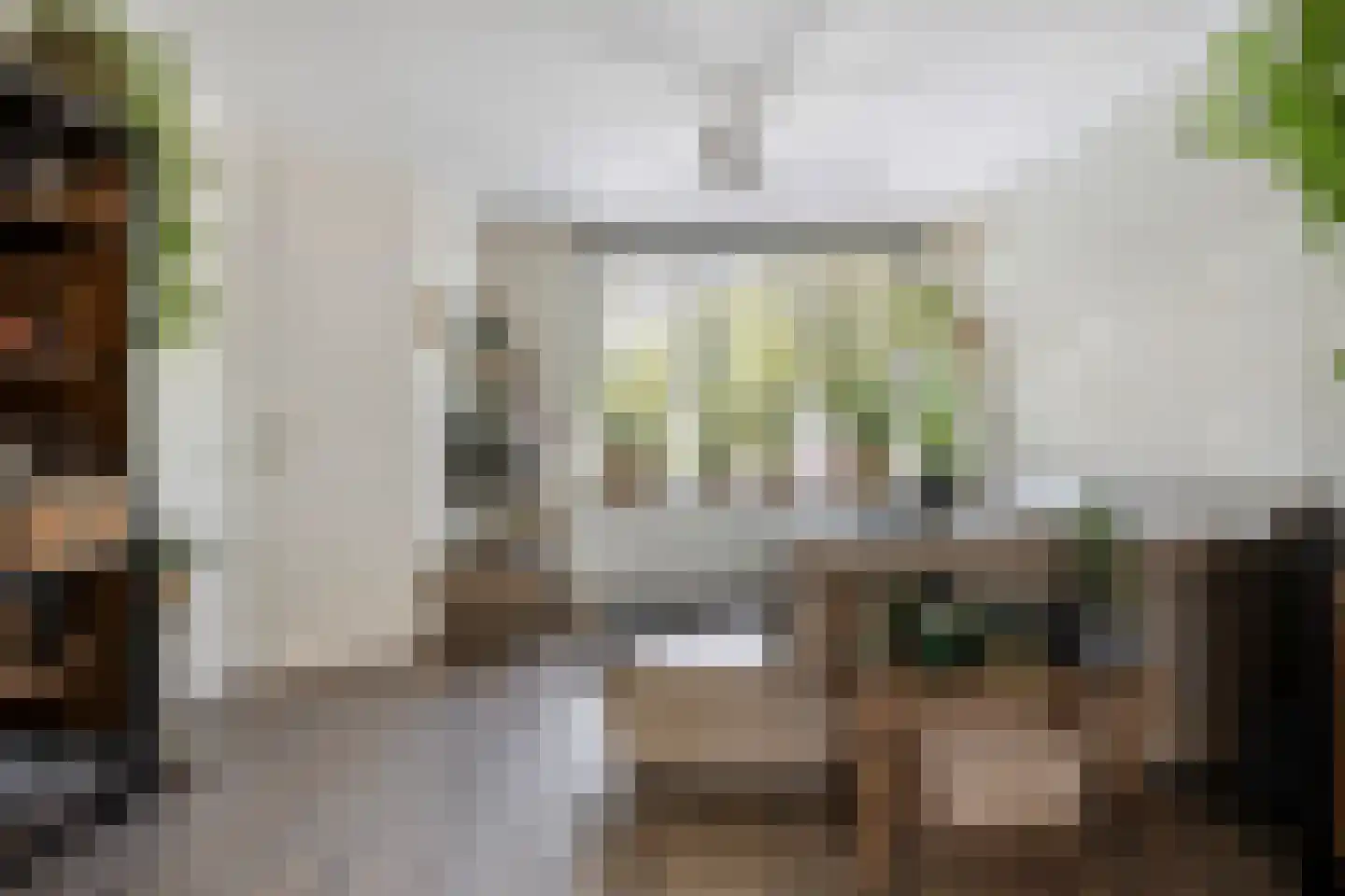 Paardebloem 7 Zwaag thumbnail 11
