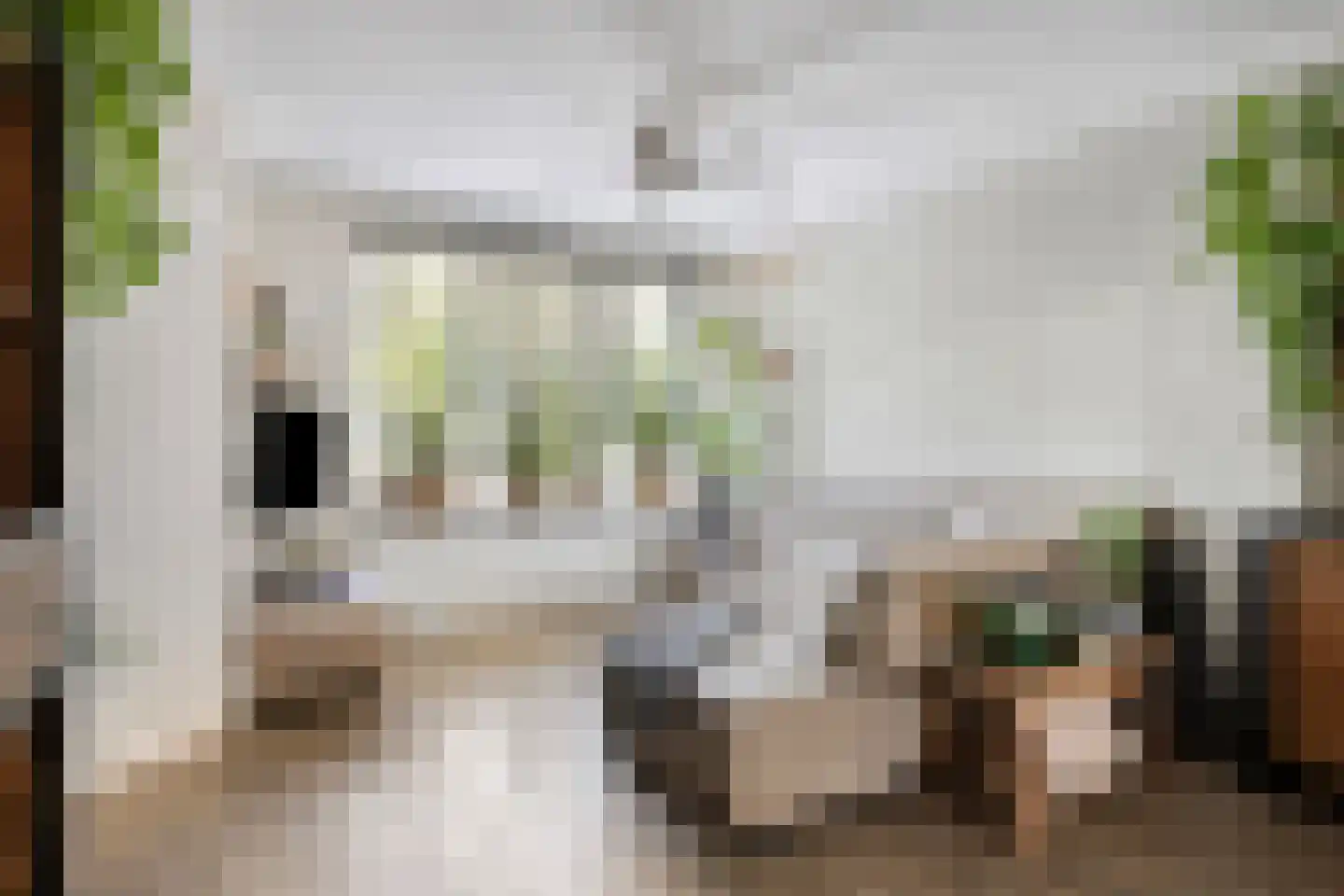 Paardebloem 7 Zwaag thumbnail 12