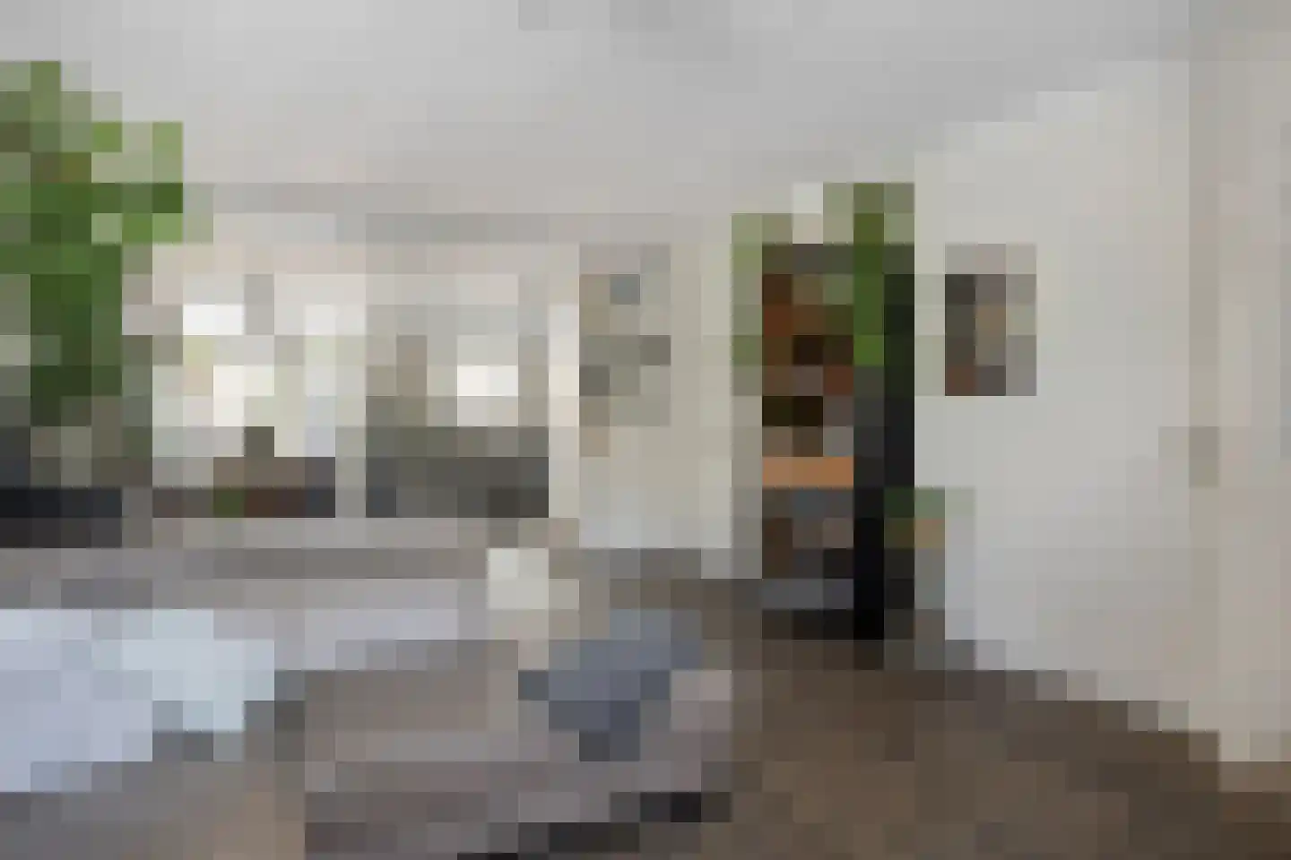 Paardebloem 7 Zwaag thumbnail 13