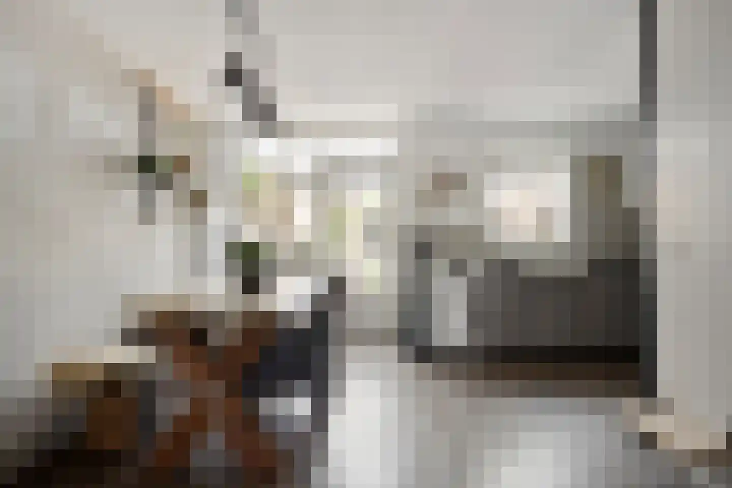 Paardebloem 7 Zwaag thumbnail 16