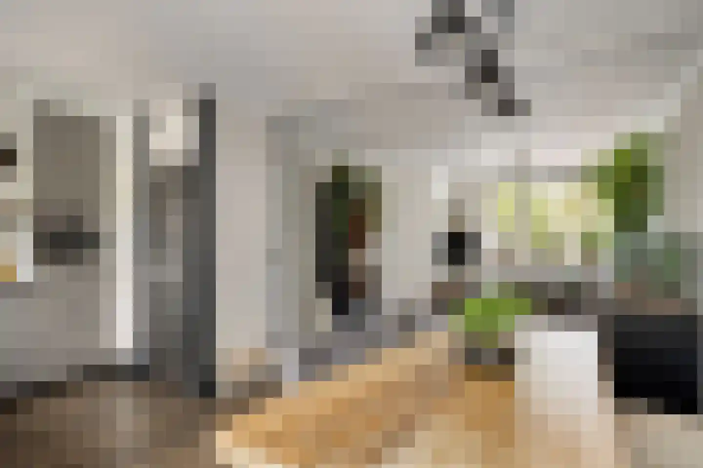 Paardebloem 7 Zwaag thumbnail 17