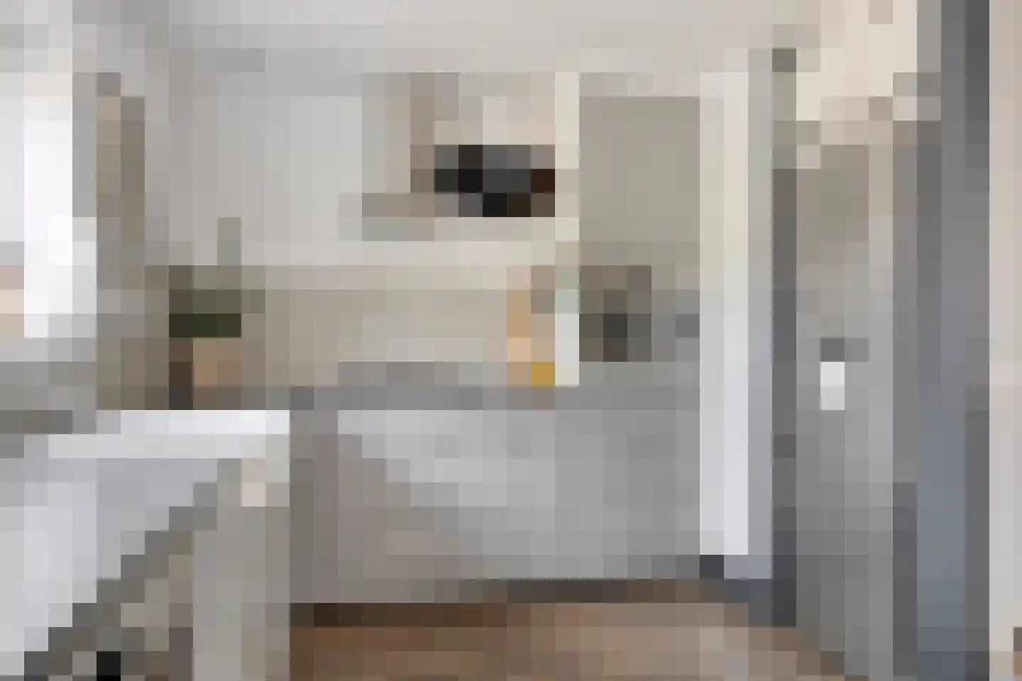 Paardebloem 7 Zwaag thumbnail 20