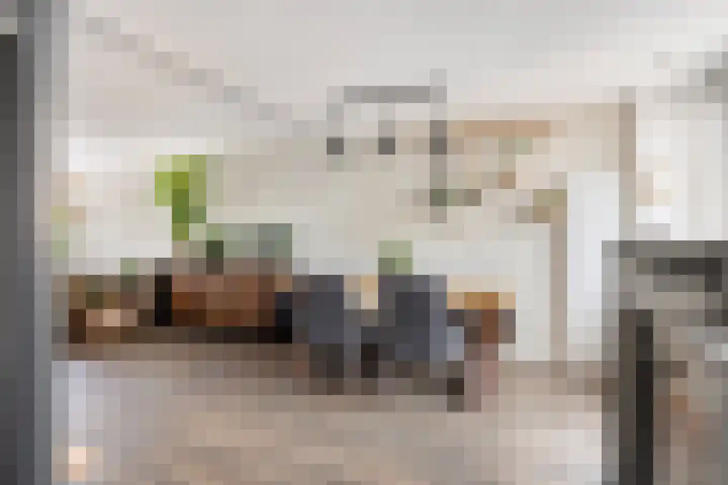 Paardebloem 7 Zwaag thumbnail 21