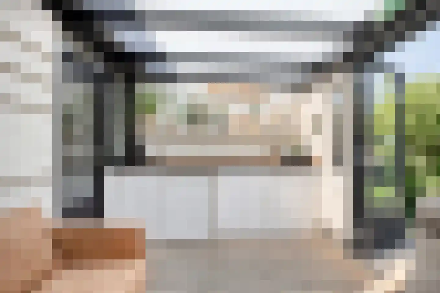 Paardebloem 7 Zwaag thumbnail 23
