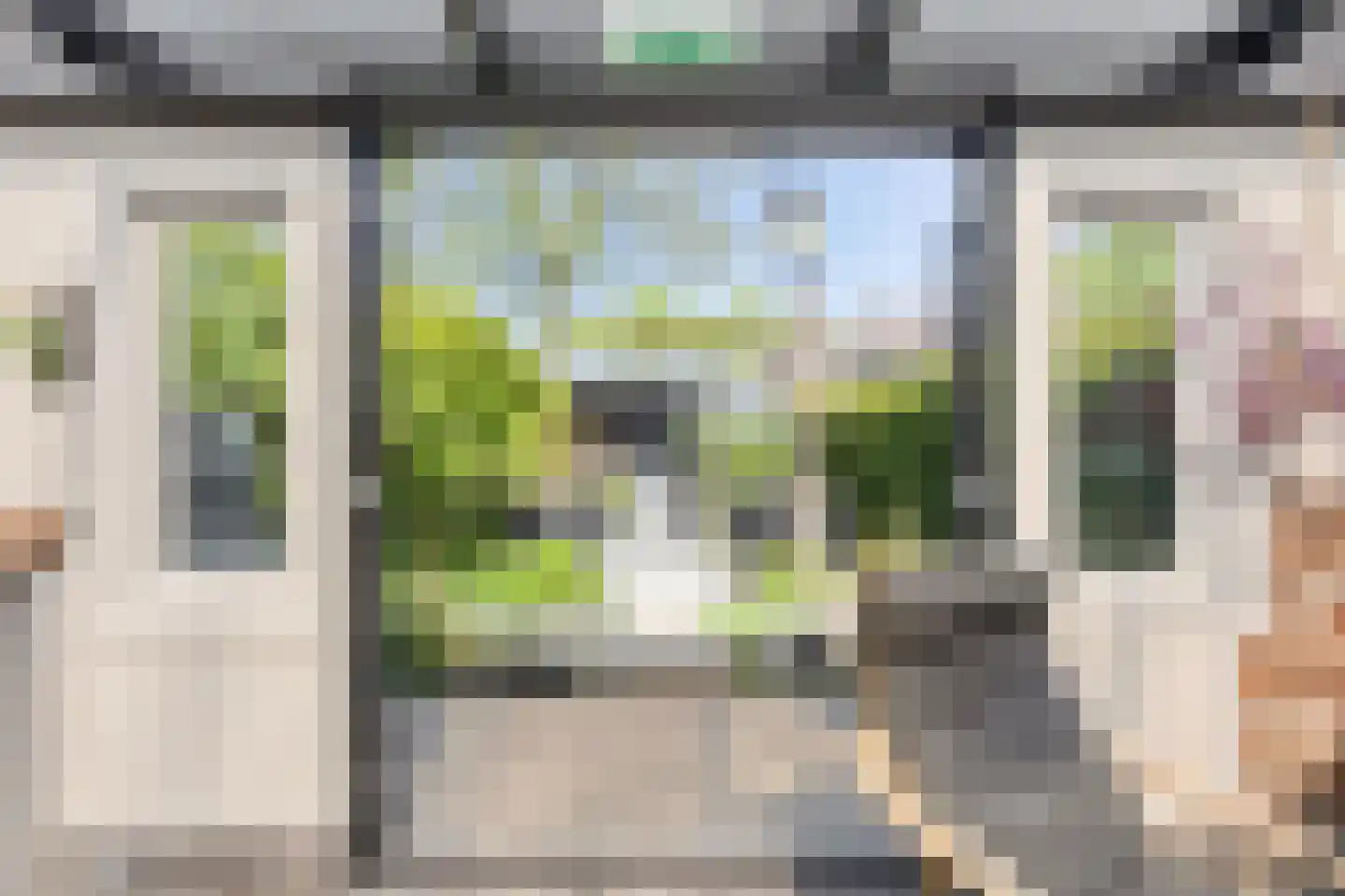 Paardebloem 7 Zwaag thumbnail 24