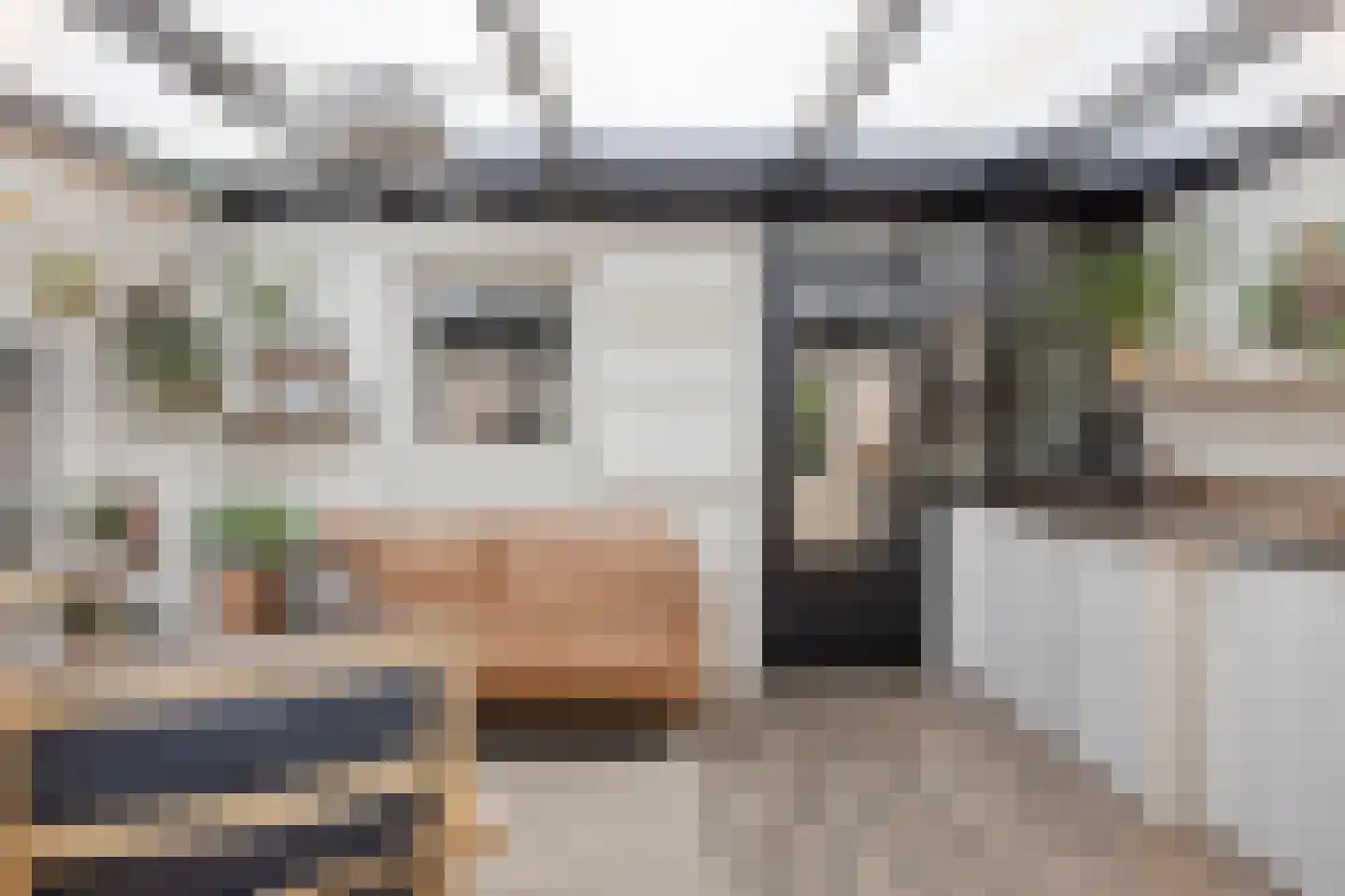 Paardebloem 7 Zwaag thumbnail 25