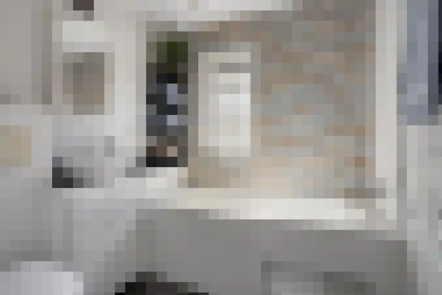 Paardebloem 7 Zwaag thumbnail 29