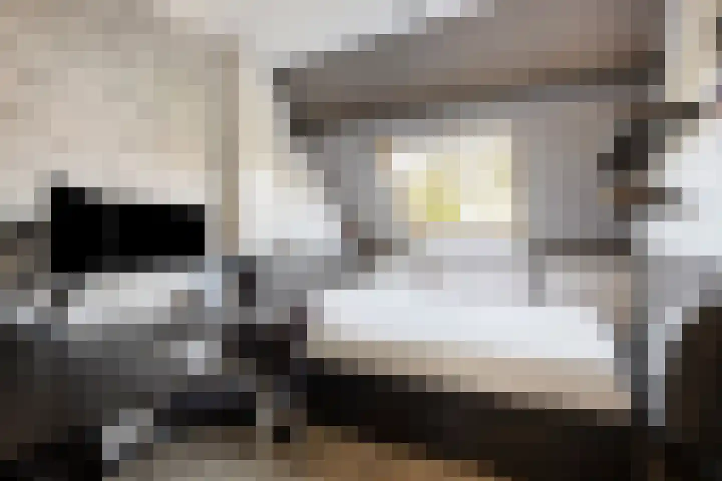 Paardebloem 7 Zwaag thumbnail 31