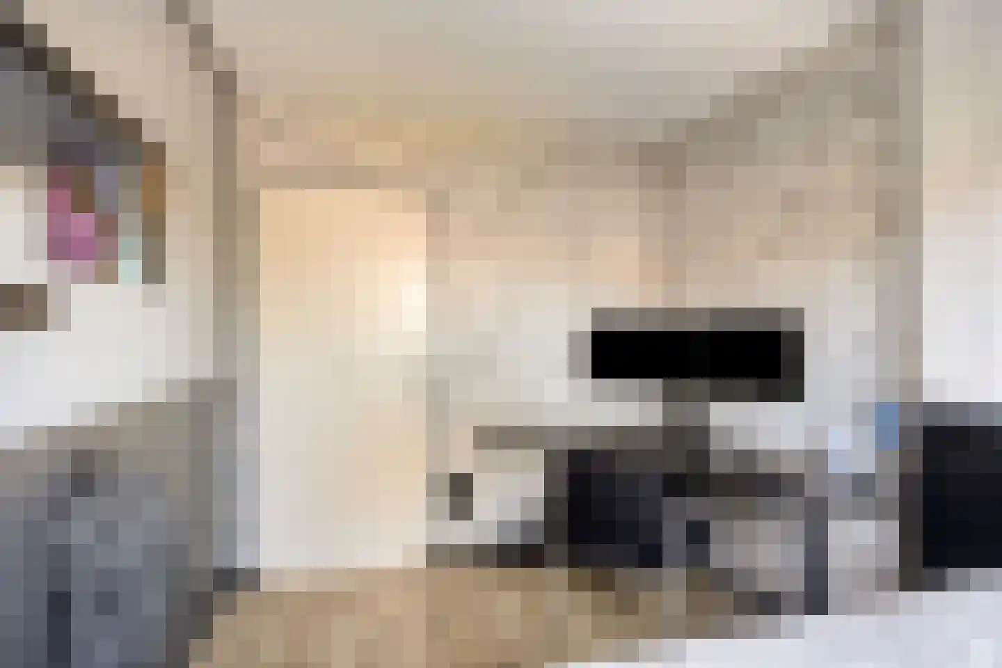 Paardebloem 7 Zwaag thumbnail 32