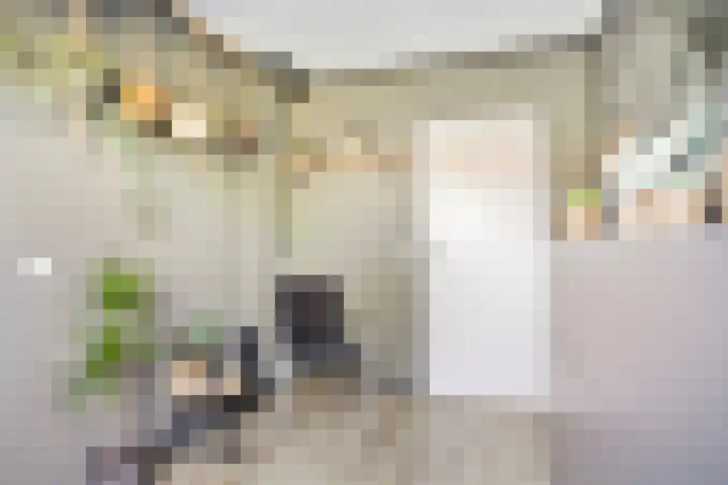 Paardebloem 7 Zwaag thumbnail 34