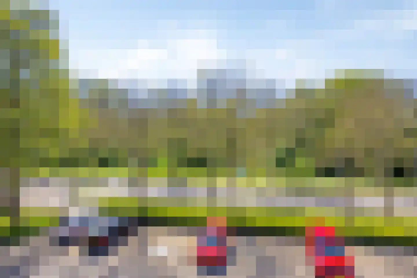 Paardebloem 7 Zwaag thumbnail 38