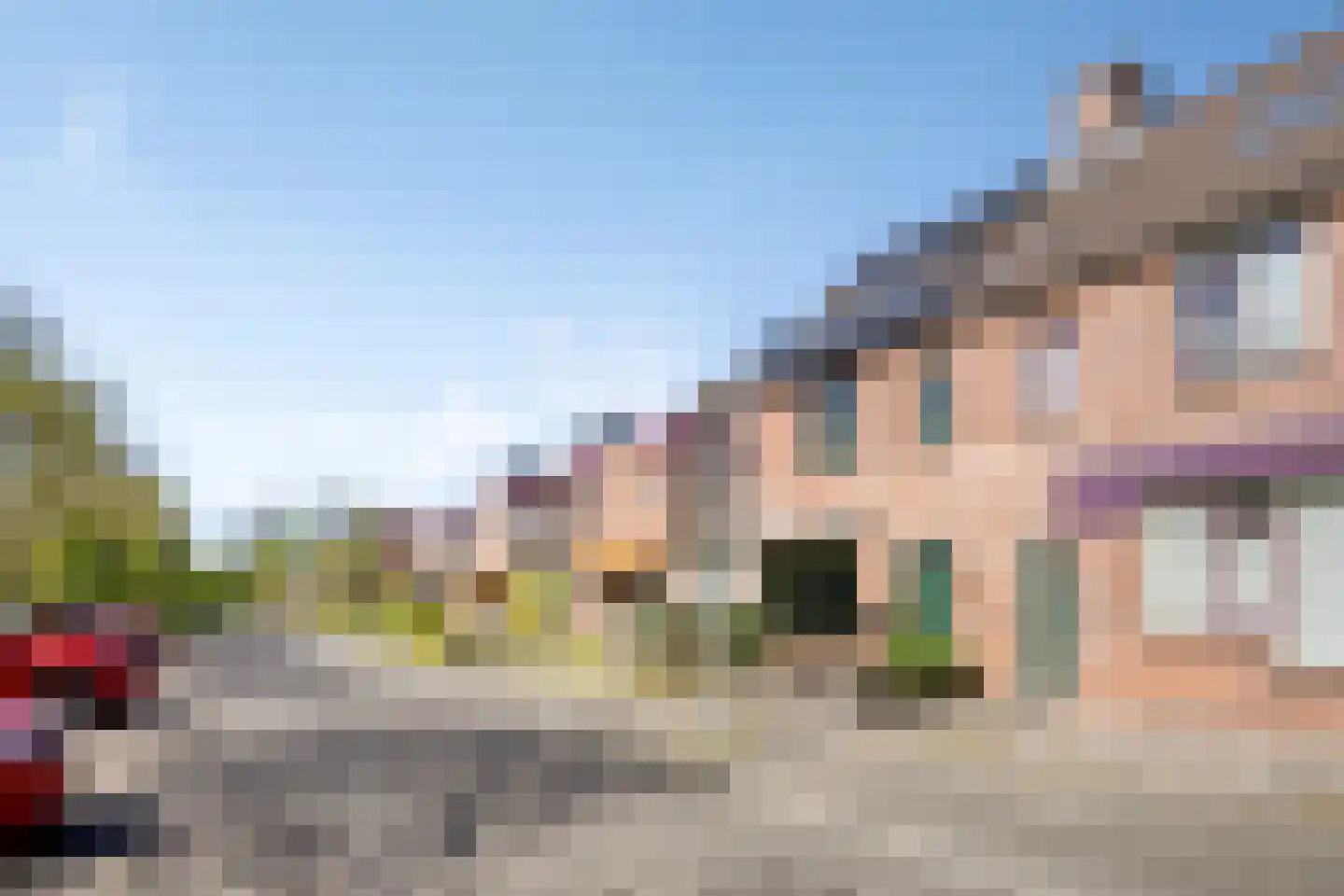 Paardebloem 7 Zwaag thumbnail 4