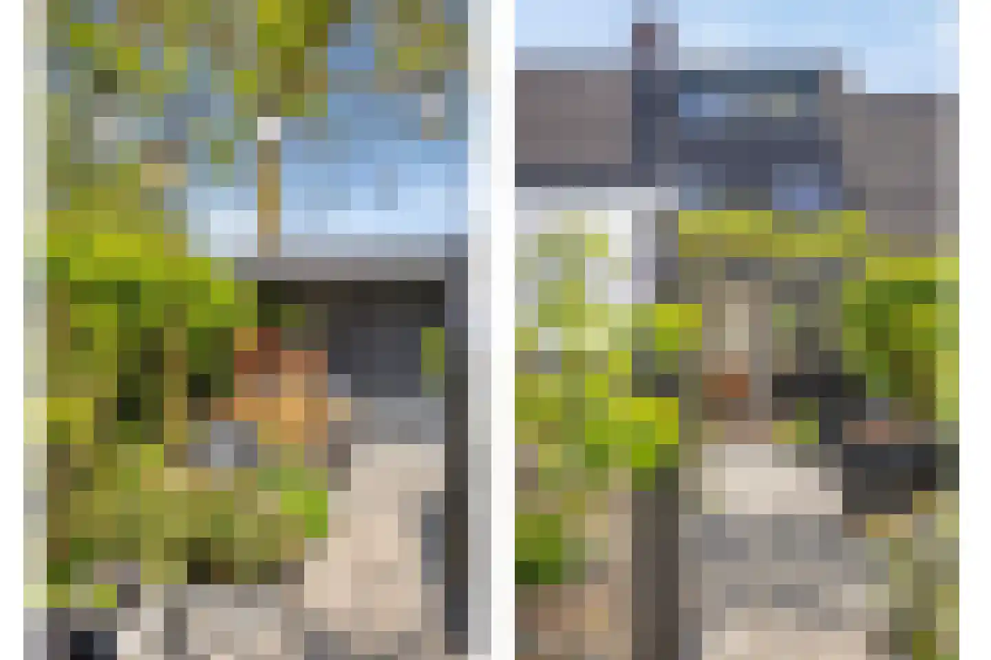Paardebloem 7 Zwaag thumbnail 41