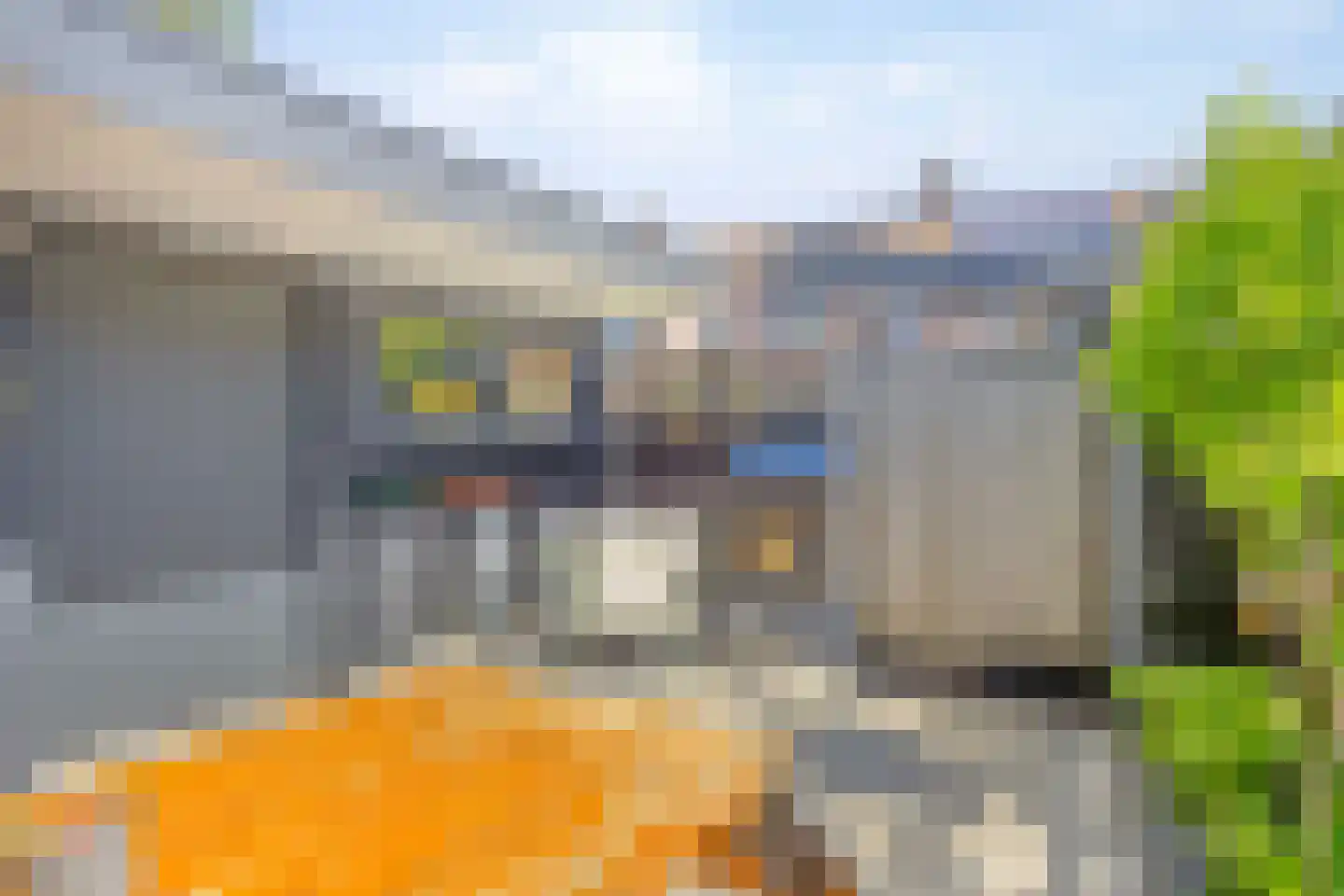 Paardebloem 7 Zwaag thumbnail 43