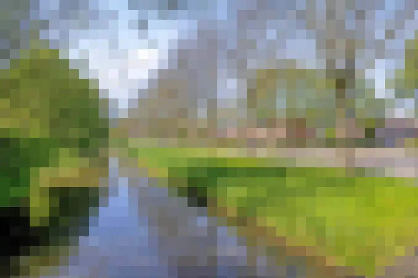 Paardebloem 7 Zwaag thumbnail 46