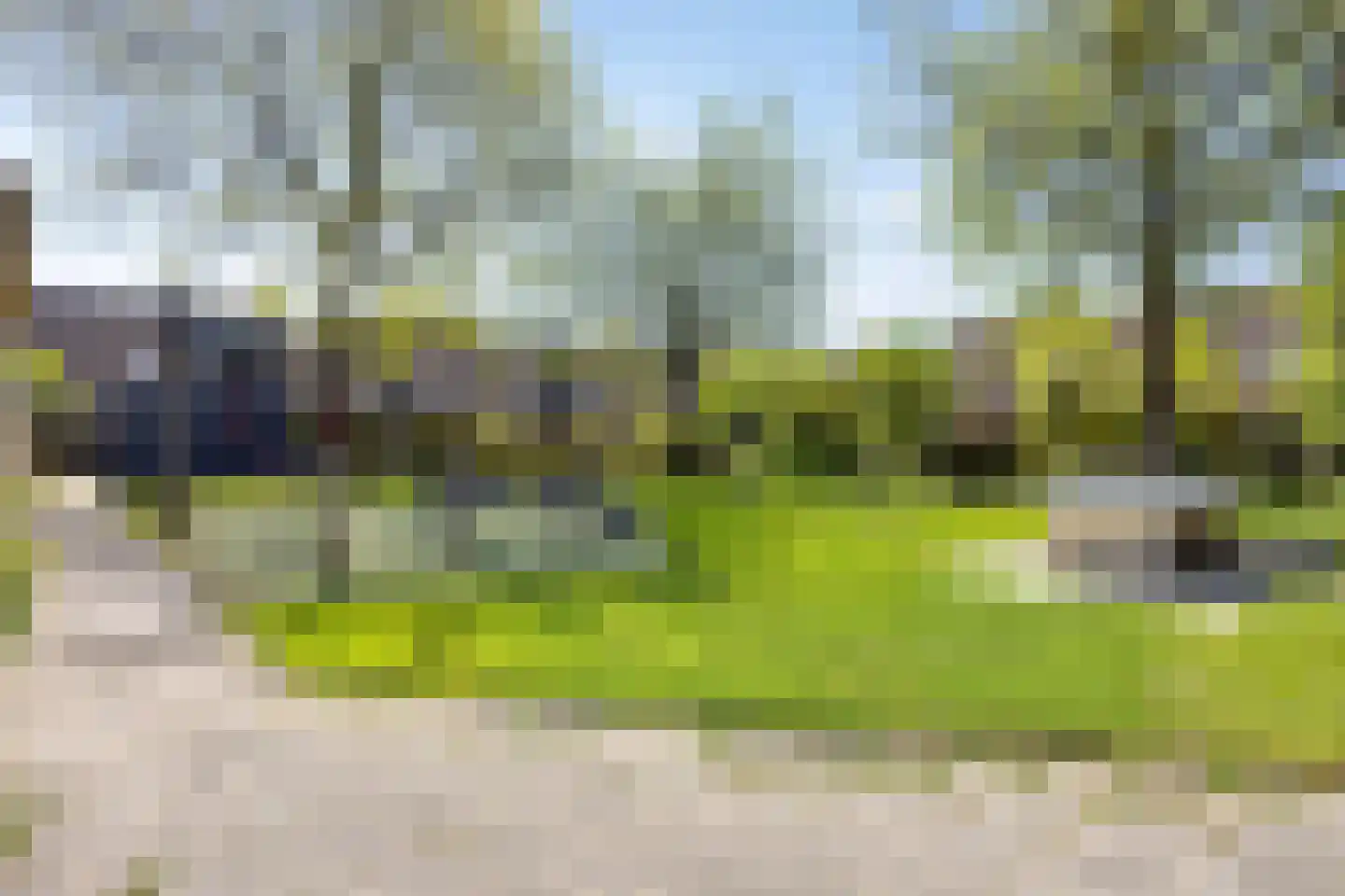 Paardebloem 7 Zwaag thumbnail 47