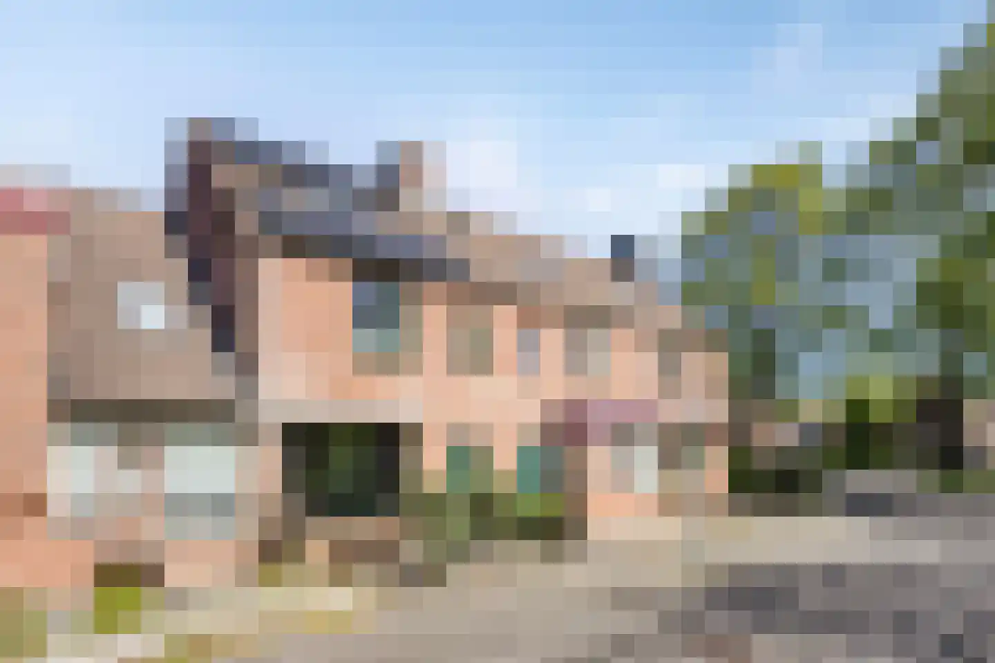 Paardebloem 7 Zwaag thumbnail 5