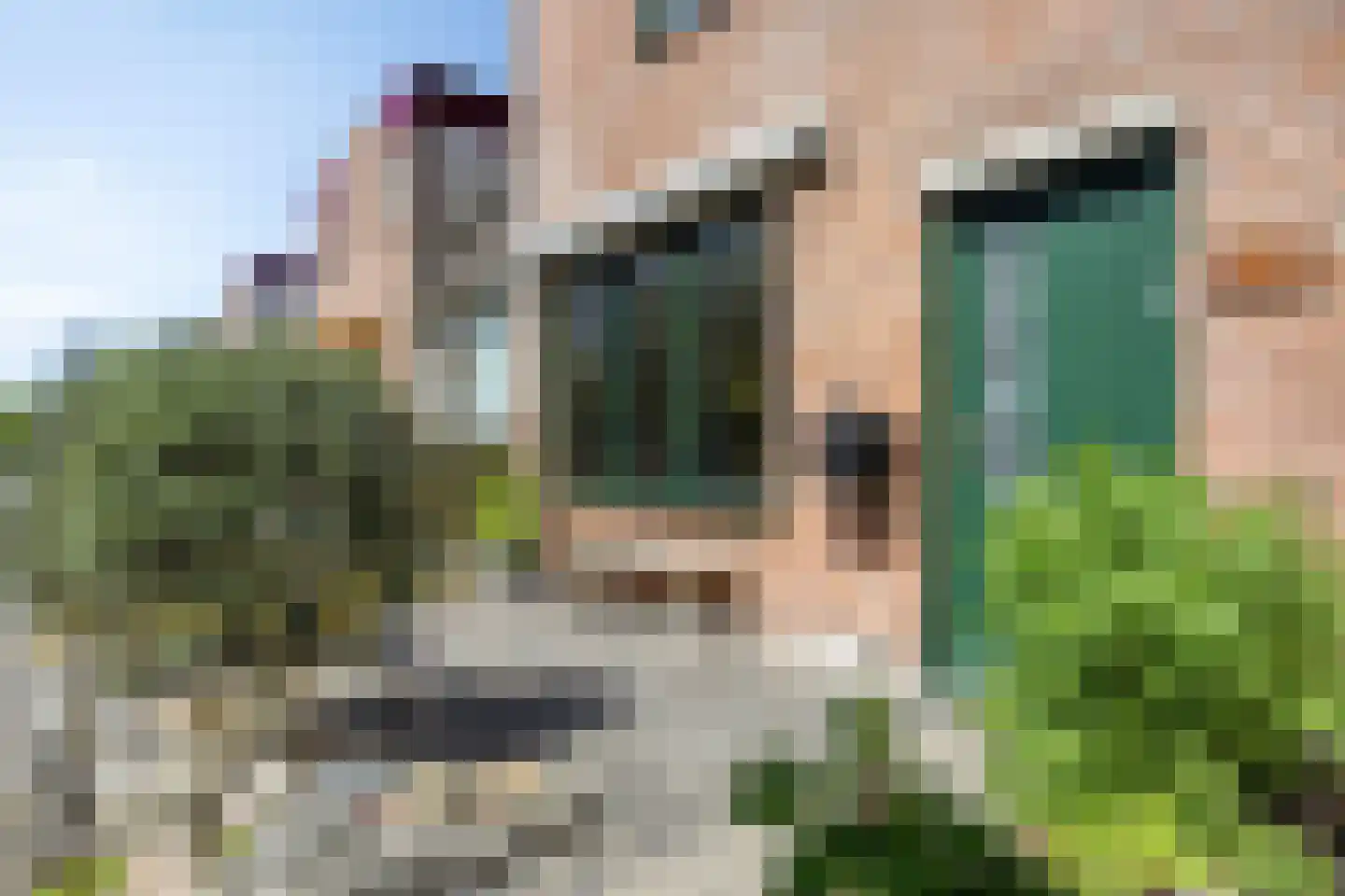 Paardebloem 7 Zwaag thumbnail 6