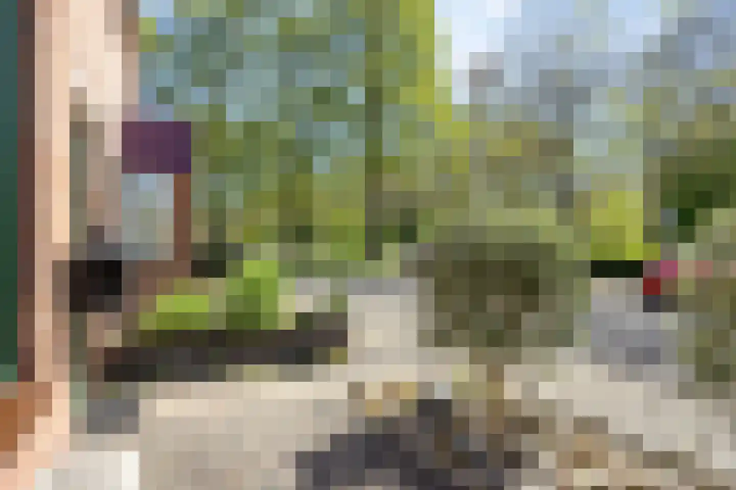 Paardebloem 7 Zwaag thumbnail 8