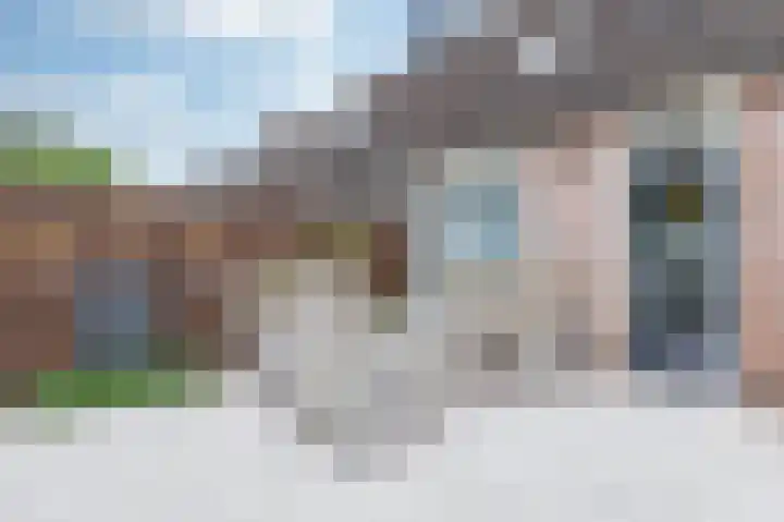 Paardebloem 73 Zwaag thumbnail 27