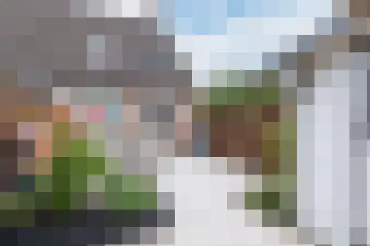 Paardebloem 73 Zwaag thumbnail 4