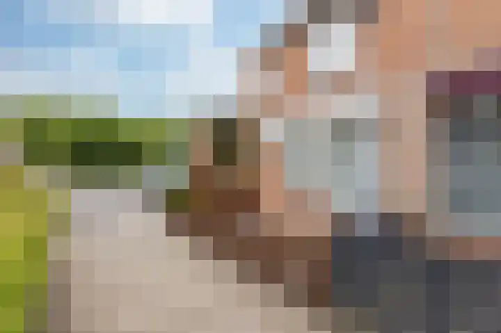 Paardebloem 73 Zwaag thumbnail 6