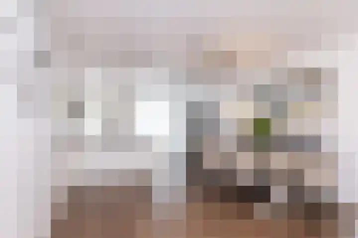 Paardebloem 73 Zwaag thumbnail 8