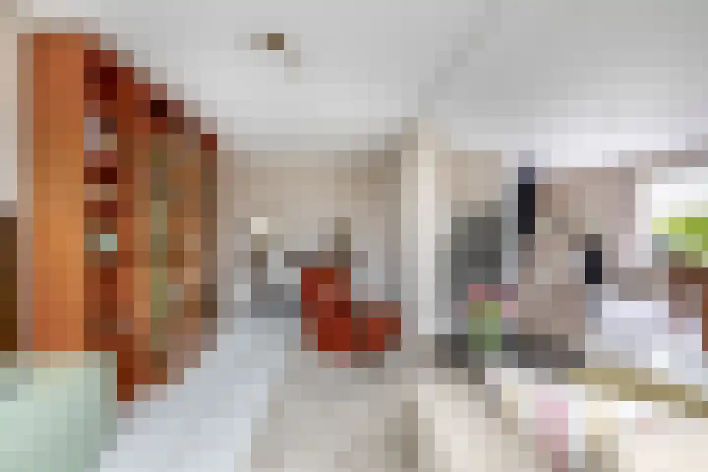 Paardebloem 75 Duiven thumbnail 10
