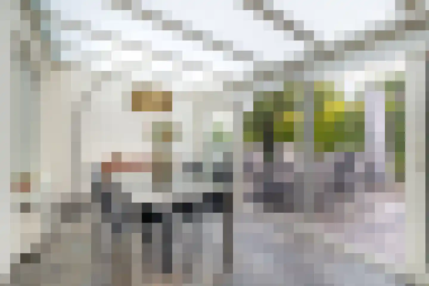 Paardebloem 75 Duiven thumbnail 20