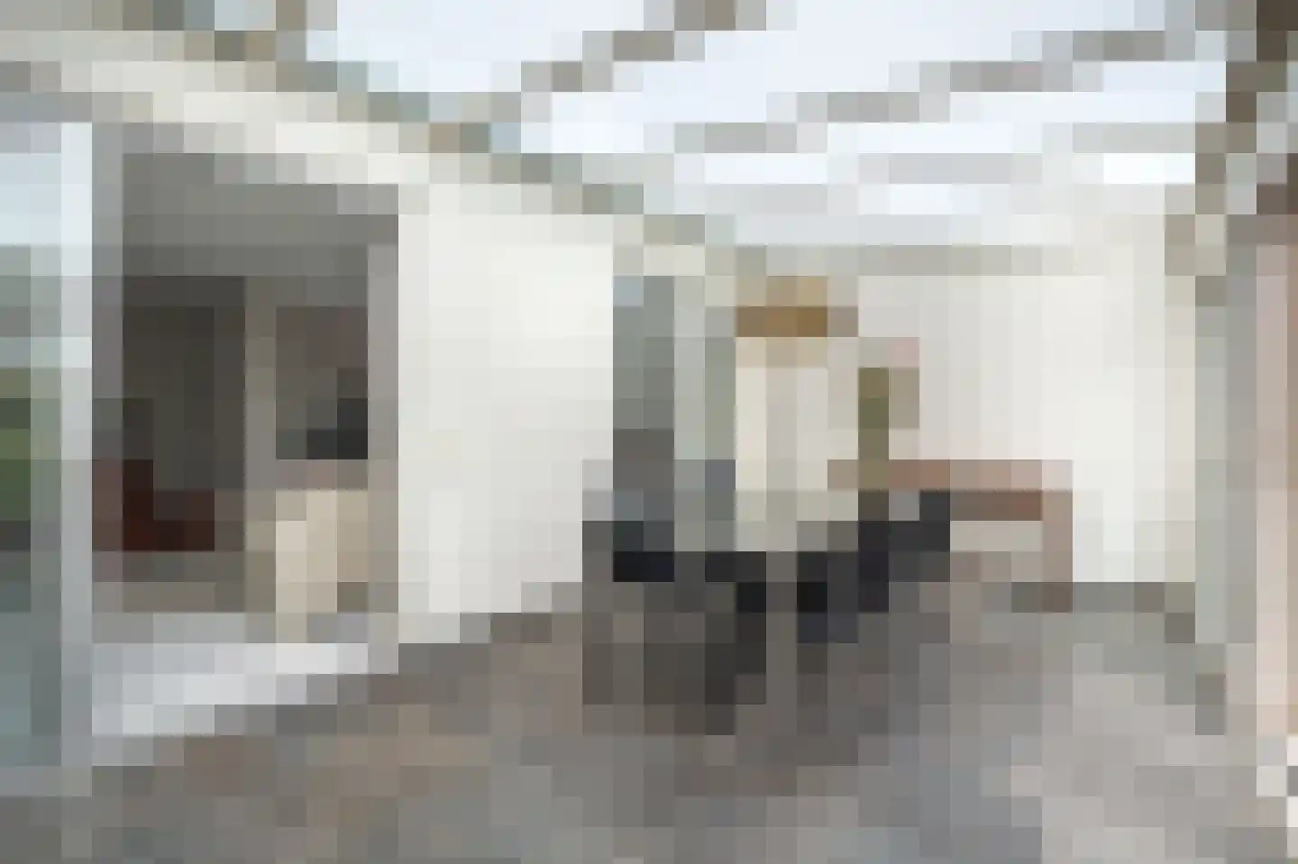 Paardebloem 75 Duiven thumbnail 21