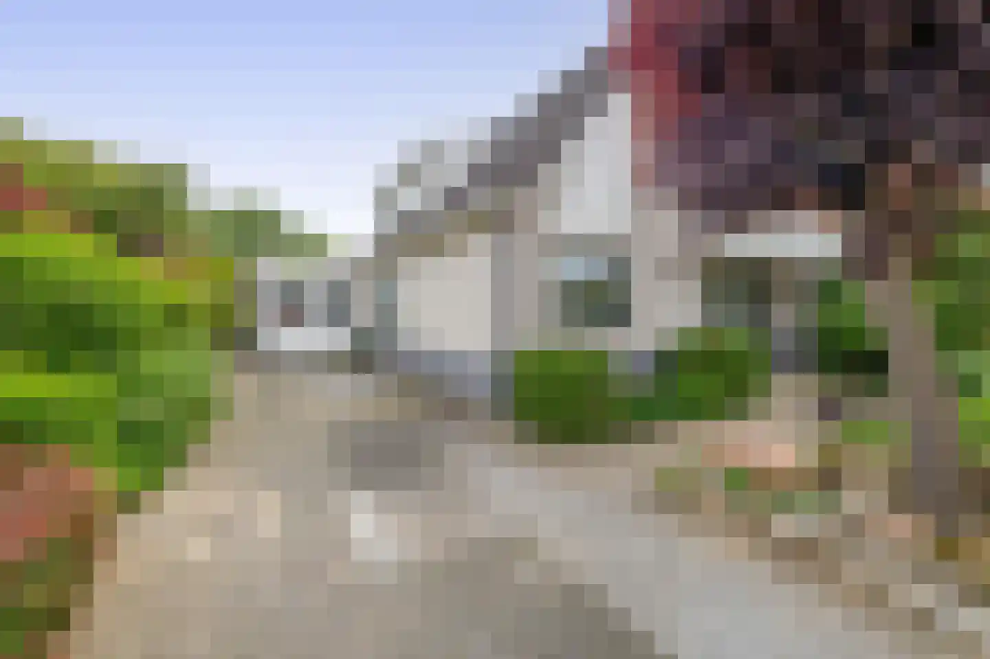 Paardebloem 75 Duiven thumbnail 24