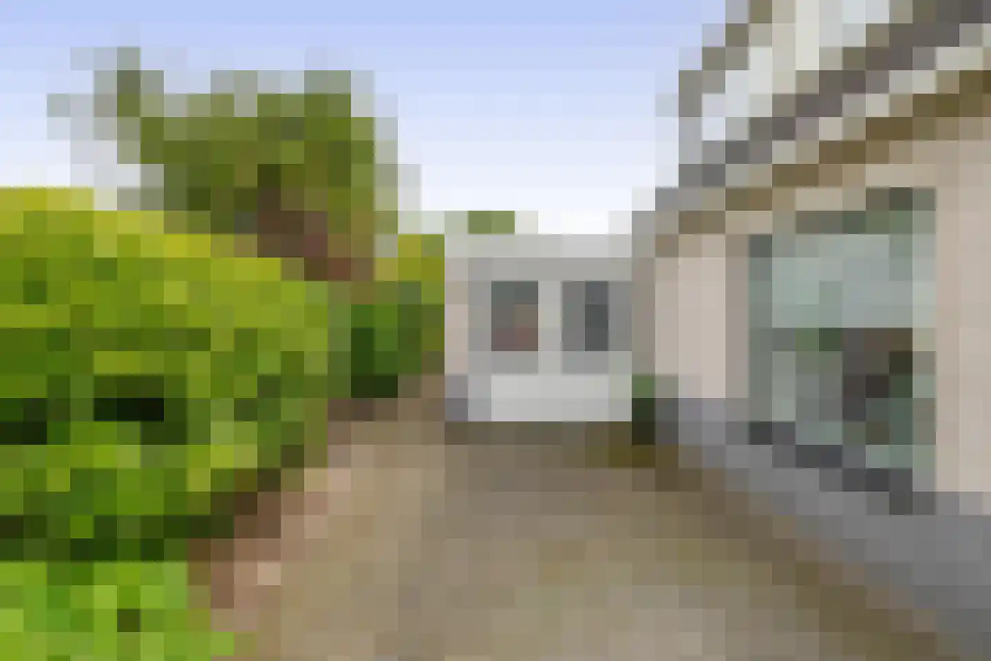 Paardebloem 75 Duiven thumbnail 25
