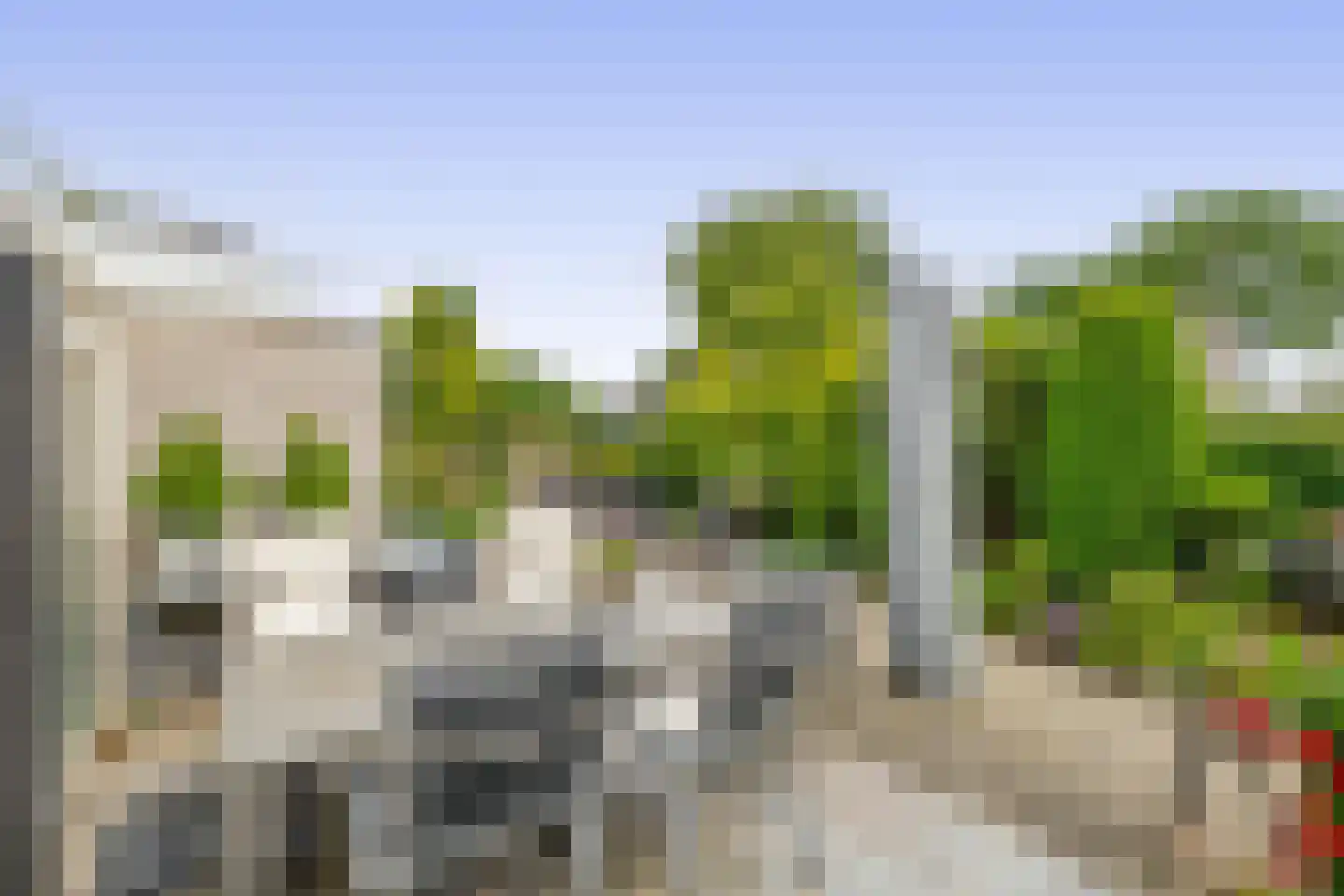 Paardebloem 75 Duiven thumbnail 26