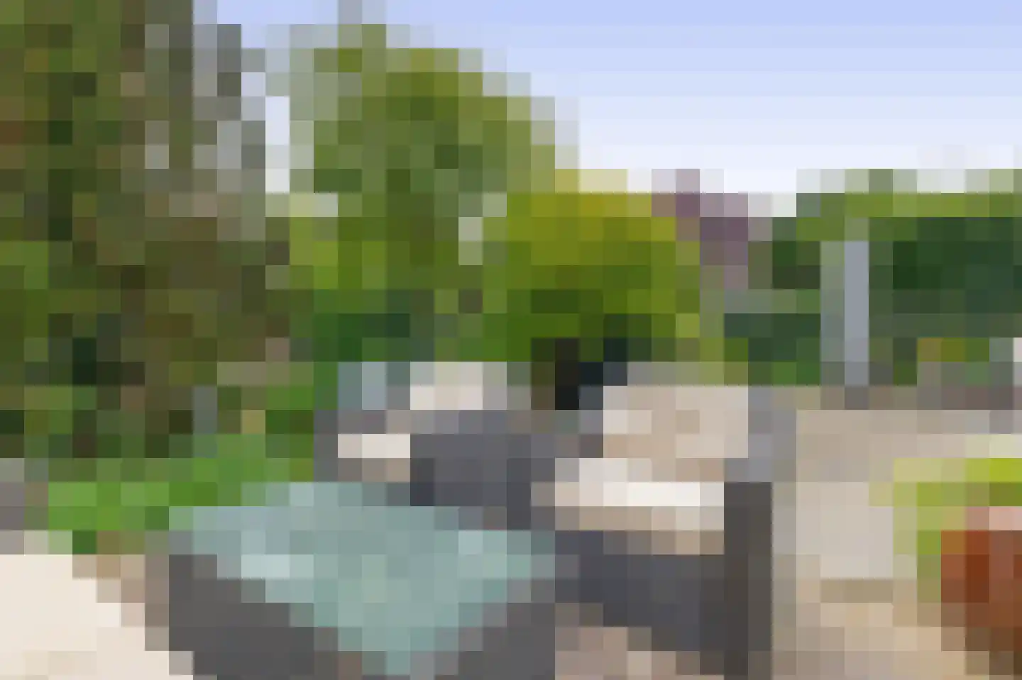 Paardebloem 75 Duiven thumbnail 28