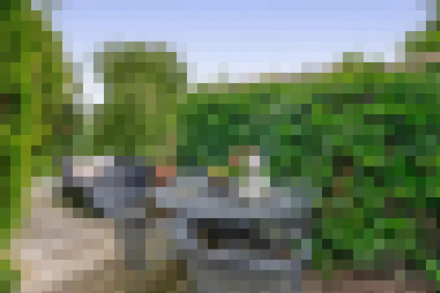 Paardebloem 75 Duiven thumbnail 29