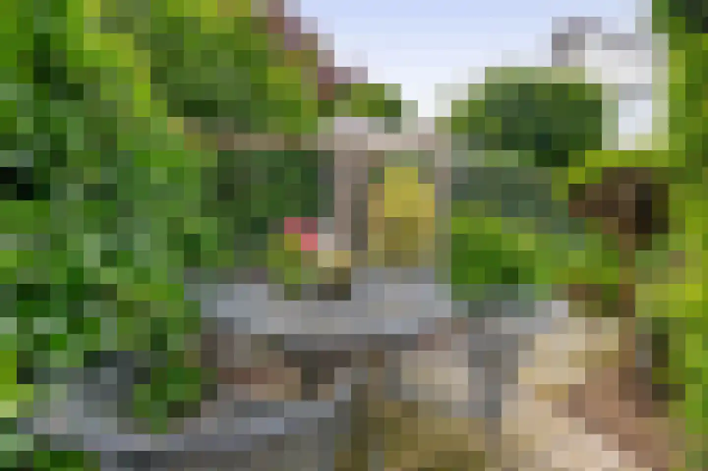 Paardebloem 75 Duiven thumbnail 30