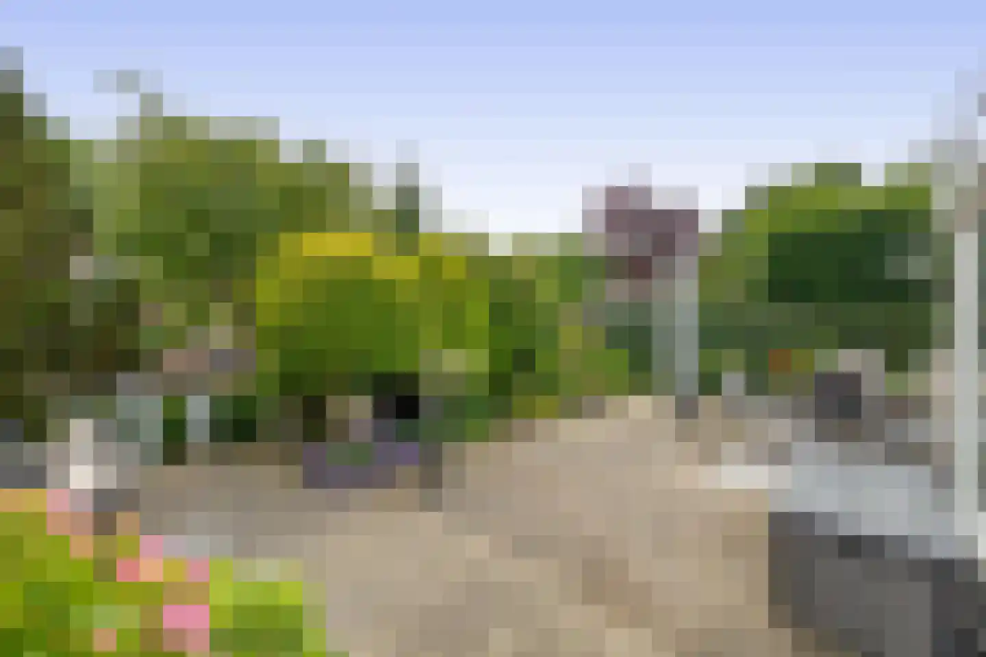 Paardebloem 75 Duiven thumbnail 32